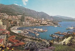 MONACO : Le Port Et La Ville - Harbor