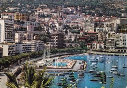 MONACO : La Condamine, La Piscine Olympique Et Un Coin Du Port (animée) - Harbor