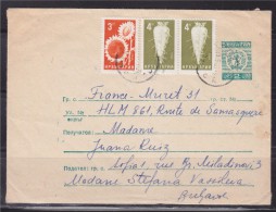 = Enveloppe Entier Bulgarie Avec Complément D'affranchissement Sofia 1967 (correspondance Intérieure Donne L'année) - Briefe