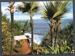 La Réunion .LANGEVIN  -Région De Saint Pierre - Saint Pierre