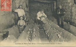 95 - Méry - Sur -Oise ; Champignonnière Du Four à Chaux . - Mery Sur Oise