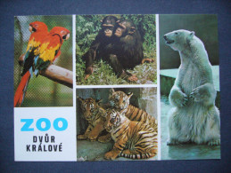 Czechoslovakia: ZOO Dvur Kralove Nad Labem - Parrot, Chimpanzee, Young Tiger, Ice Bear - 1980s Unused - Other