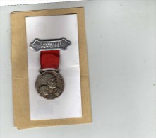 Médaille - Oeuvre Des Pupilles  - Oeuvre Des Pupilles Des Sapeurs Pompiers - Feuerwehr