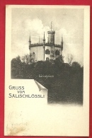 PAI-30   Gruss Vom Sälischlössli  Stempel Olten 1912 - Olten