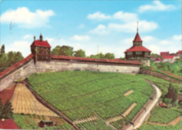 Esslingen Am Neckar - Burg Mit Wehrgang - Esslingen