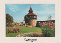 Esslingen Am Neckar - Dicker Turm Auf Der Burg - Esslingen