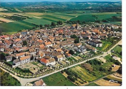 COULANGES LA VINEUSE - Vue Générale Aérienne - Coulanges La Vineuse