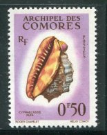 COMORES- Y&T N°19- Neuf Sans Charnière ** - Unused Stamps