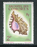 COMORES- Y&T N°21- Neuf Avec Charnière * (coquillage) - Unused Stamps