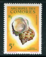 COMORES- Y&T N°22- Neuf Avec Charnière * (coquillage) - Unused Stamps