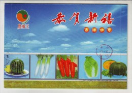 Watermelon,radish,carrot,chinese Cabbage,pumpkin,CN 07 Fuzhou Vegetable Seed Company Advert Pre-stamped Letter Card - Légumes