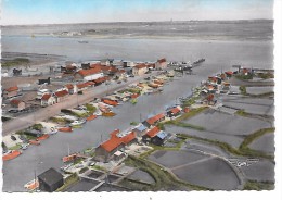 Delcampe - LA TREMBLADE - Le Port - La Tremblade