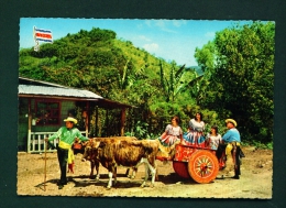 COSTA RICA  -  Family With Oxcart  Used Postcard As Scans - Costa Rica