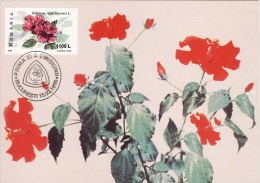 3564 - Roumanie 1999 - Cartoline Maximum