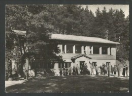 AVRONA GR Tarasp Inn BERGSCHULE Unter-Engadin 1958 - Tarasp