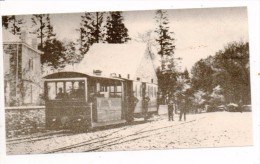 32595  -  Paliseul  -    Tram  Vapeur  -- Photo    13,5  X  7,5  -  2  Scans - Paliseul