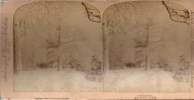 Stereofoto - A Crystal Vista - Eine Kristall Perspektive - Ziegen Insel - Niagara Fälle  1893 - Visionneuses Stéréoscopiques