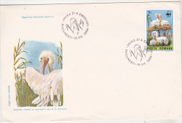 Romania - 1984 FDC - Pelicans - Covers & Documents