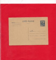 Carte Postale ( EP 5F )neuf Luxe - Covers & Documents