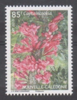 Nelle CALEDONIE - Flore - Fleur : Captaincookia (Ixora Margaretae) - Ongebruikt