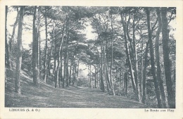 Limours (Seine-et-Oise) - La Route Aux Pins - Cliché A. Manigot - Limours