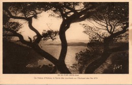 83 - Var - ILE DE PORT-CROS - "De L'arbre D'Hélène, Le Féerie Des Couchants Sur L'Archipel Des Iles D'Or" Collection YVO - Other & Unclassified