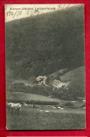 PAM-20  Kurort Dürstel  Langenbruck . Feldpost 1915. Traces De Colle Au Dos - Langenbruck