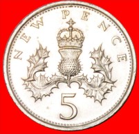 ★THISTLE: GREAT BRITAIN ★ 5 NEW PENCE 1980! MINT LUSTER! LOW START★NO RESERVE! - 5 Pence & 5 New Pence