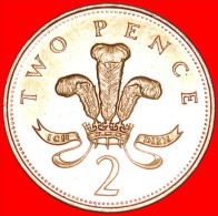 ★OSTRICH FEATHERS: UNITED KINGDOM ★ 2 PENCE 1994! MINT LUSTER! LOW START★NO RESERVE! - 2 Pence & 2 New Pence