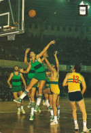 BASKET BALL - Baloncesto