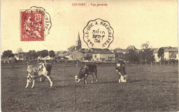 Carte Postale Ancienne De COUSSEY - Coussey