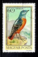 HONGRIE Aer361° 60fi Oiseaux Merle (10% De La Cote + 0,15) - Used Stamps