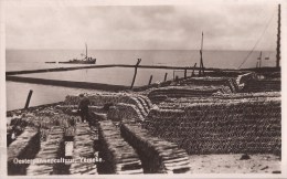 YERSEKE GEM. REIMERSWAAL CA. 1950 OESTER-INDUSTRIE OESTERS HUITRES OESTERPANNENCULTUUR - VISSERIJ - Yerseke