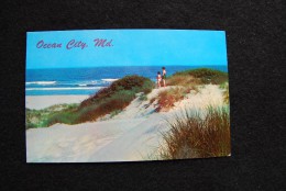 A291 - USA - Ocean City, Md. - Sand Dunes And Ocean - Unused - Unbenutzt - Ocean City
