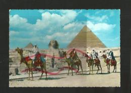 Cpm St000878 Le Grand Sphinx Et La Pyramide De Giseh (dromadaires) - Piramidi