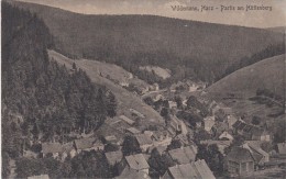 1363p: SW- AK Wildemann, Harz- Partie Am Hüttenberg, Ungebraucht, Ca. 1920 - Wildemann