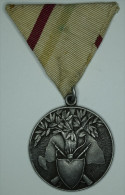 Hongrie Hungary Ungarn 1920 - 1930 Irredentist Military Award Medal LUDVIG Mark - Andere & Zonder Classificatie