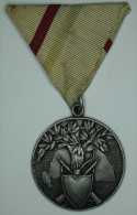Hongrie Hungary Ungarn 1920 - 1930 Irredentist Military Award Medal LUDVIG Mark - Autres & Non Classés