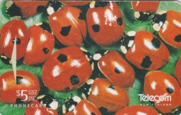 New Zealand, NZ-P-063, Telecom VIP Christmas 1995, Ladybirds, 2 Scans. - Noel