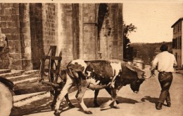 64 - URRUGNE Au Pays Basque Départ D´attelage Devant L´Eglise D'Urrugne - Urrugne