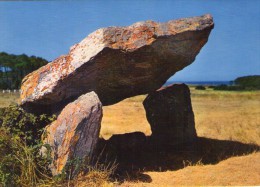 Brétignolles-sur-Mer.. Le Dolmen De La Pierre Levée Dolmens Menhirs - Bretignolles Sur Mer