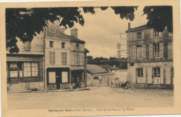 CELLES SUR BELLE - Coin De La Place Et Les Halles - Celles-sur-Belle