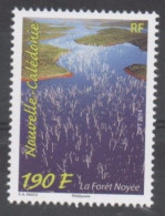 Nelle CALEDONIE - Tourisme - Paysage De Nelle Calédonie : La Forêt Noyée (lac De Yaté) - - Nuevos