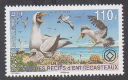 Nelle CALEDONIE - Lagons De Nelle Calédonie - Zone Des Récifs D'Entrecasteaux : Fou Masqué (Sula Dactylatra) - Unused Stamps