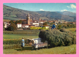 CPM   AINHOA Village Type Du Pays Basque - Ainhoa