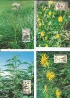 Liechtenstein MK 135 (1996) - Medicinal Plants Maxicard Set - Heilpflanzen