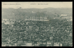 CHAVES - FEIRAS E MERCADOS - Uma Feira Do Gado ( Ed. Papelaria Mesquita ) Carte Postale - Vila Real