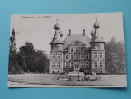 Cruyshautem Le Château ( REPRO Copie / Copy ) - Anno 19?? ( Zie Foto Voor Details ) !! - Kruishoutem