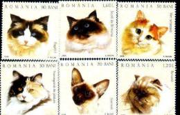 Romania  2006 Complete Sets Cats Mint/neuf,MNH,small Price, Face Value !!!. - Ongebruikt