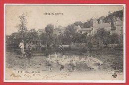 FOLKLORE -- SCENE Du CENTRE --  N° 545 - Baignade D'Oies - Other & Unclassified